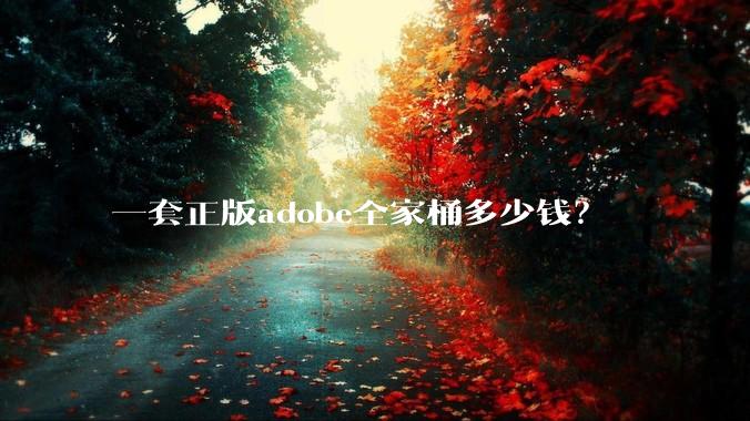 一套正版adobe全家桶多少钱？