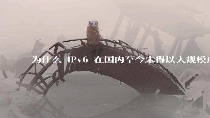 为什么 IPv6 在国内至今未得以大规模应用?